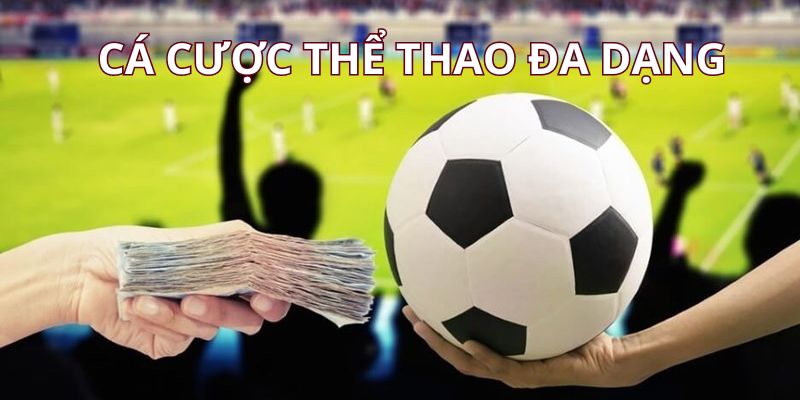 ca-cuoc-the-thao-da-dang