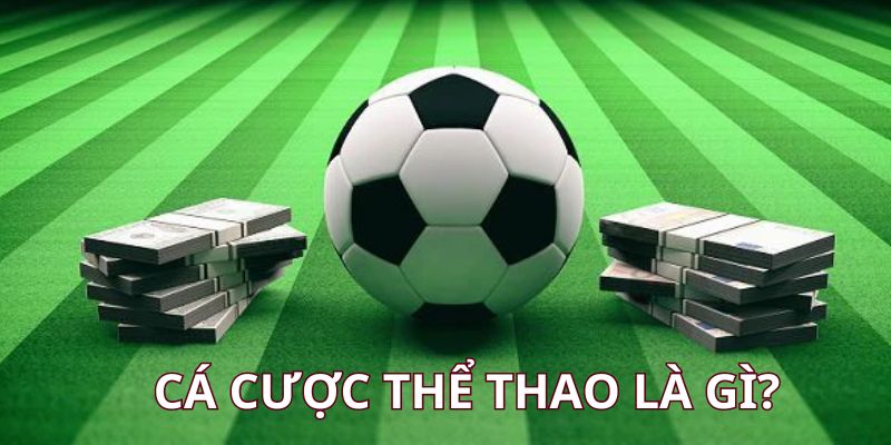 ca-cuoc-the-thao-la-gi