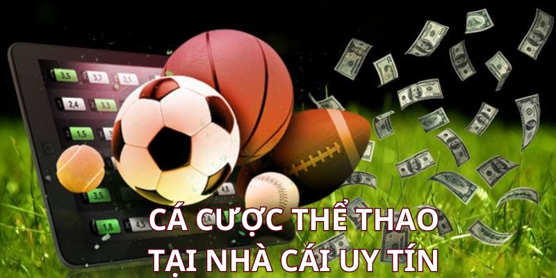 ca-cuoc-the-thao-uy-tin